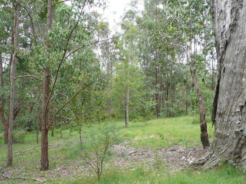 Kyogle NSW 2474