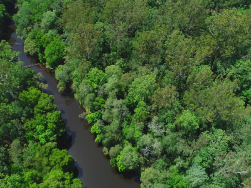 1730 Bungawalbin Whiporie Road, Bungawalbin NSW 2469