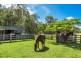420 Woodburn Evans Head Road, Doonbah NSW 2473