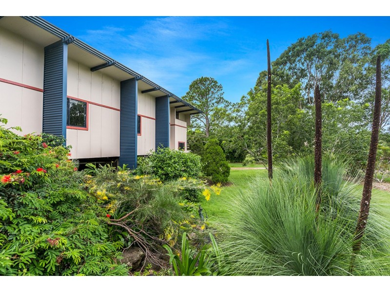 240 Rileys Hill Road, Rileys Hill NSW 2472