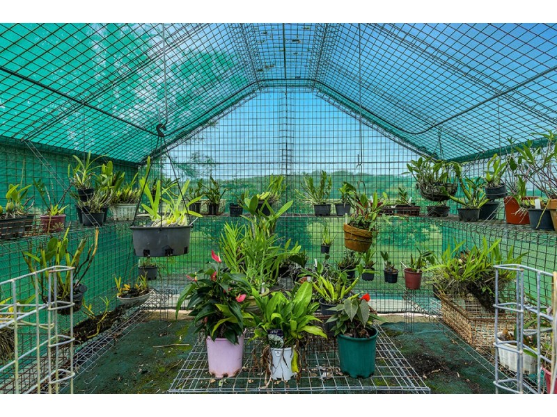 240 Rileys Hill Road, Rileys Hill NSW 2472