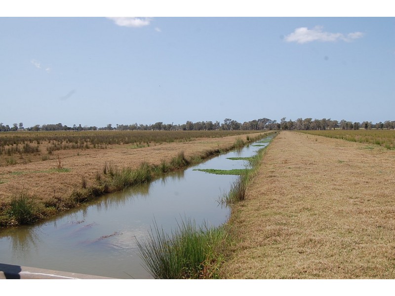 Lot 1 & 2/1211666,/LOT 62, 180 Boyters Lane, Woodburn NSW 2472