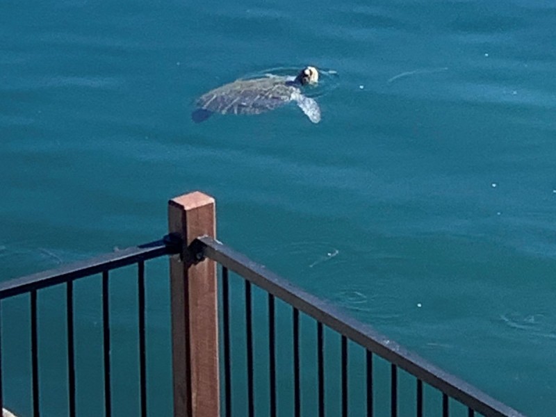 44 A Ocean Drive, Evans Head NSW 2473