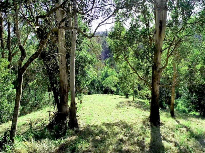 371 Billen Road, Georgica NSW 2480