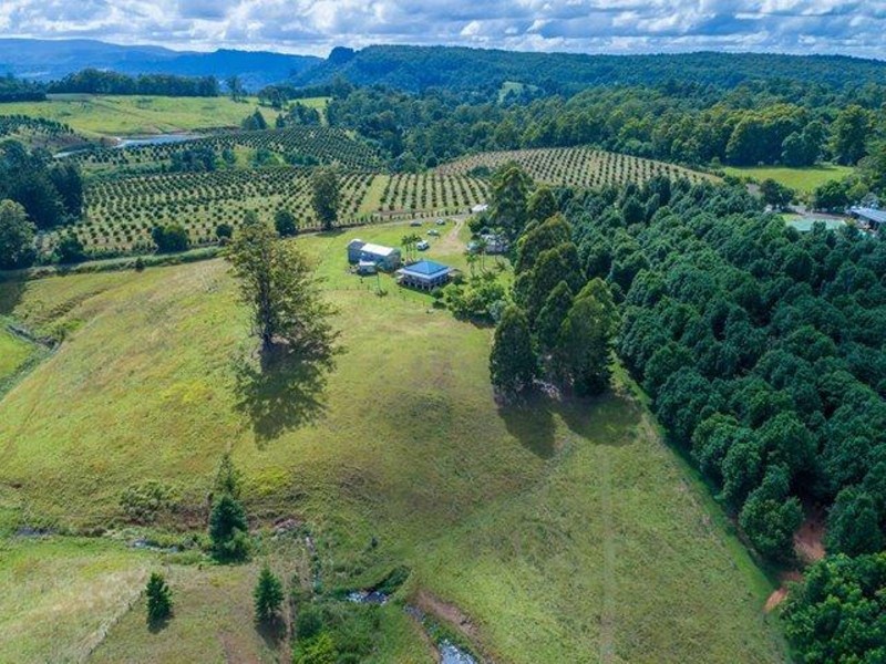 585 Mountain Top Road, Mountain Top NSW 2480