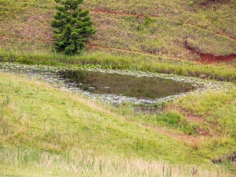 585 Mountain Top Road, Mountain Top NSW 2480