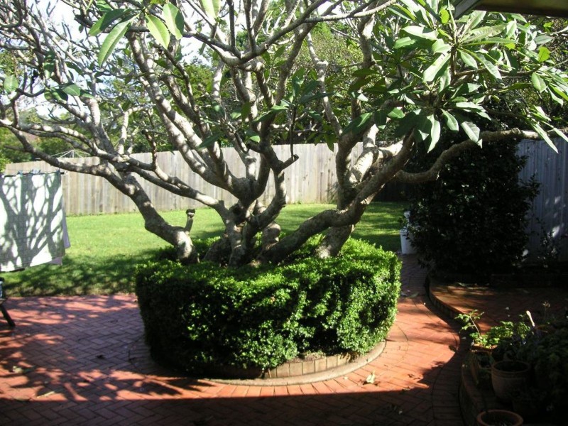 8 Oakley Avenue, East Lismore NSW 2480