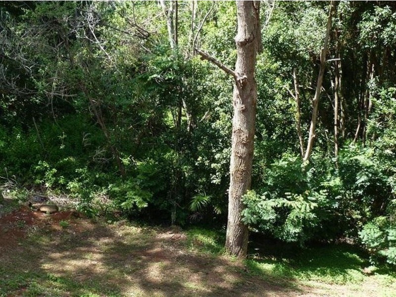 12 Stevenson Street, Goonellabah NSW 2480