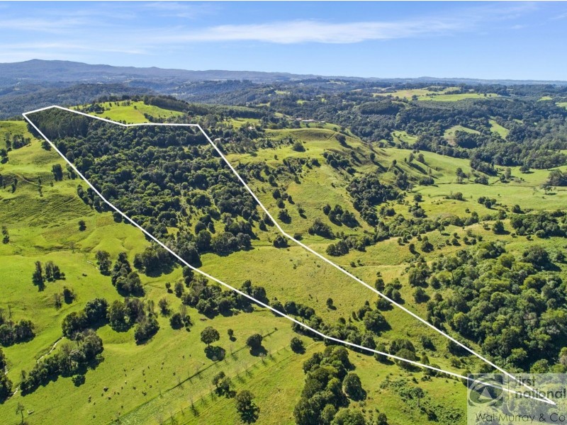 139 Currie Road, The Channon NSW 2480