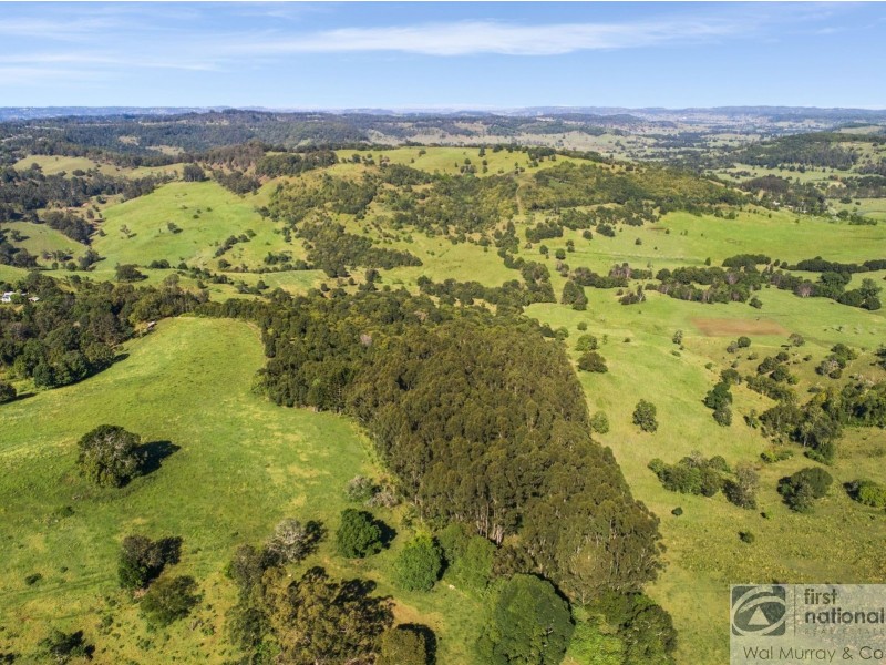 139 Currie Road, The Channon NSW 2480