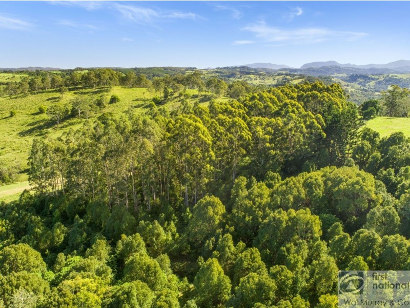 139 Currie Road, The Channon NSW 2480