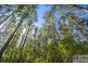 139 Currie Road, The Channon NSW 2480