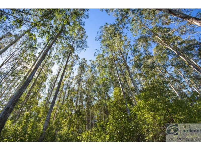 139 Currie Road, The Channon NSW 2480