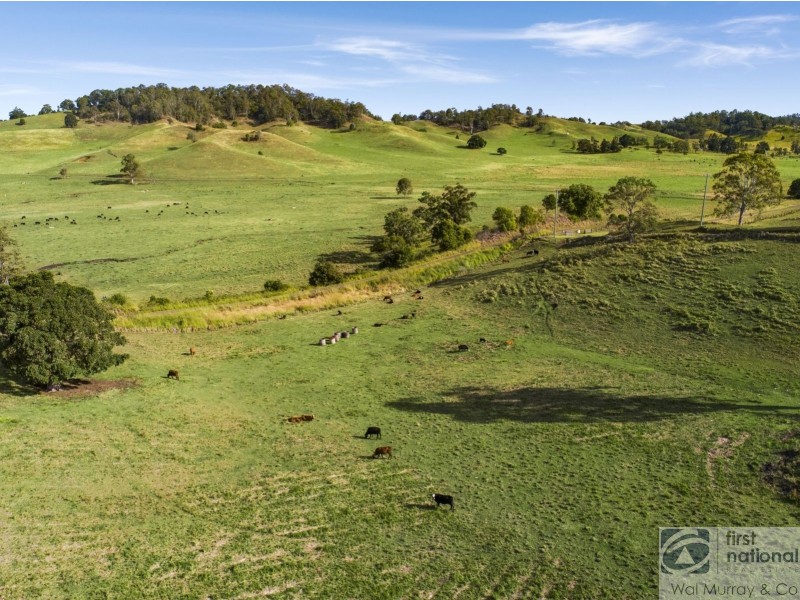 65 Brazils Road, Bentley NSW 2480