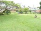 39 Darcy Drive, Goonellabah NSW 2480