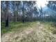 1203 Myall Creek Road, Bora Ridge NSW 2471