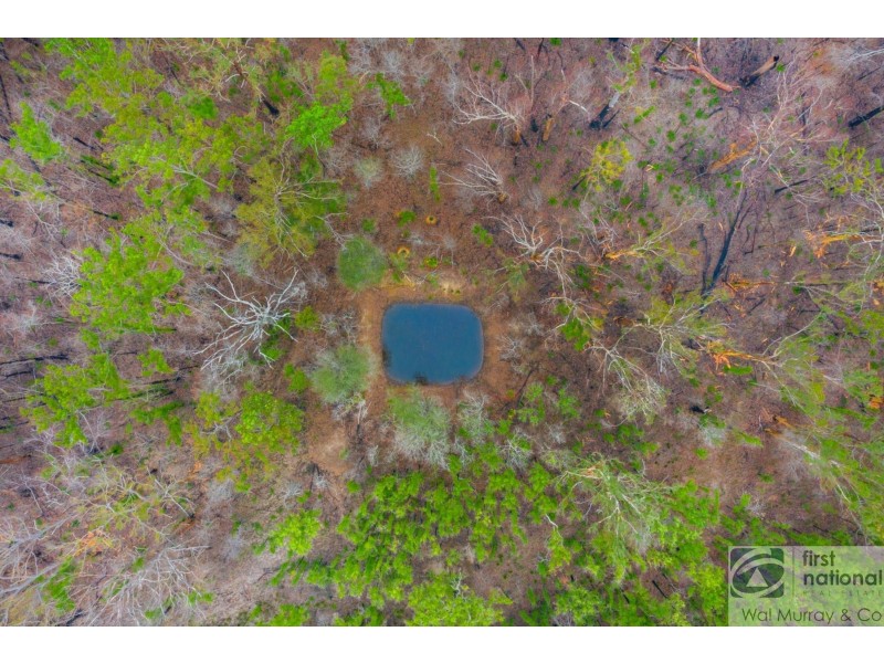 1203 Myall Creek Road, Bora Ridge NSW 2471