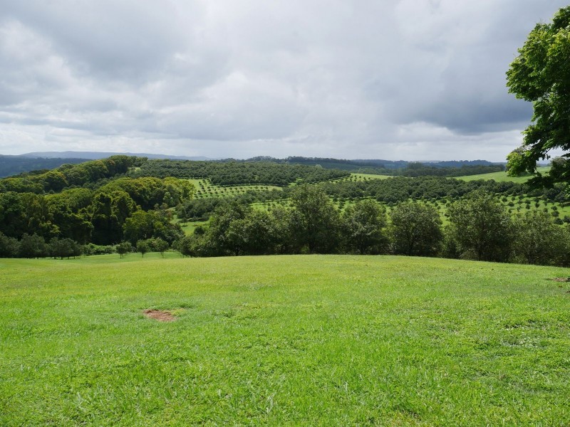 1239 Dunoon Road, Dunoon NSW 2480