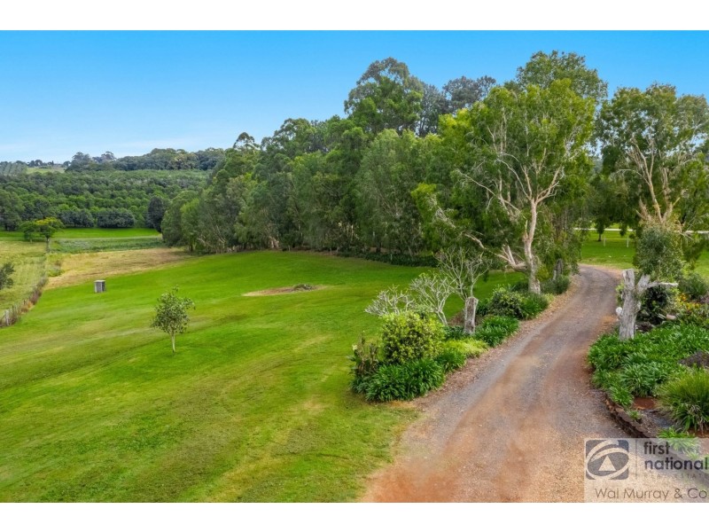 90 Mollys Grass Road, Tregeagle NSW 2480