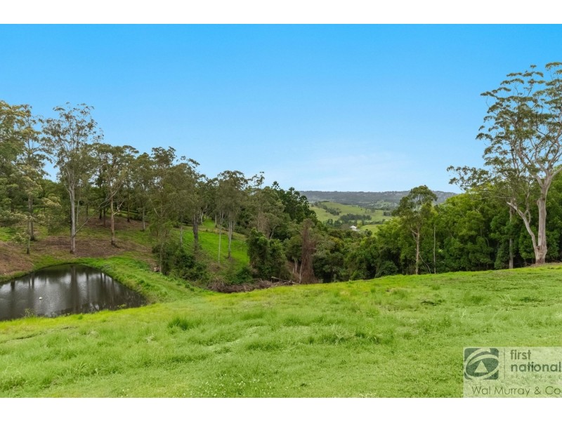 438 Dunoon Road, Tullera NSW 2480