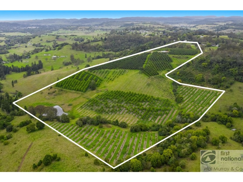 438 Dunoon Road, Tullera NSW 2480