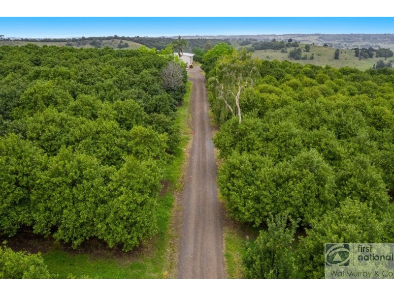 438 Dunoon Road, Tullera NSW 2480