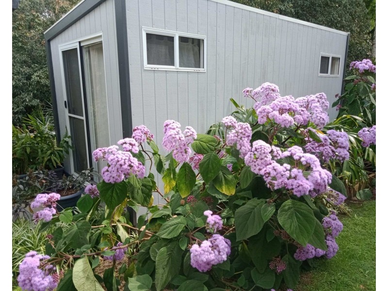 Lismore Heights NSW 2480