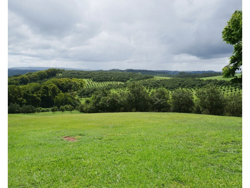 1239 Dunoon Road, Dunoon NSW 2480