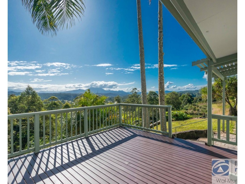 3935 Kyogle Road, Mount Burrell NSW 2484