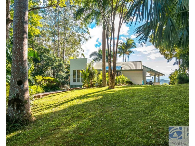 3935 Kyogle Road, Mount Burrell NSW 2484