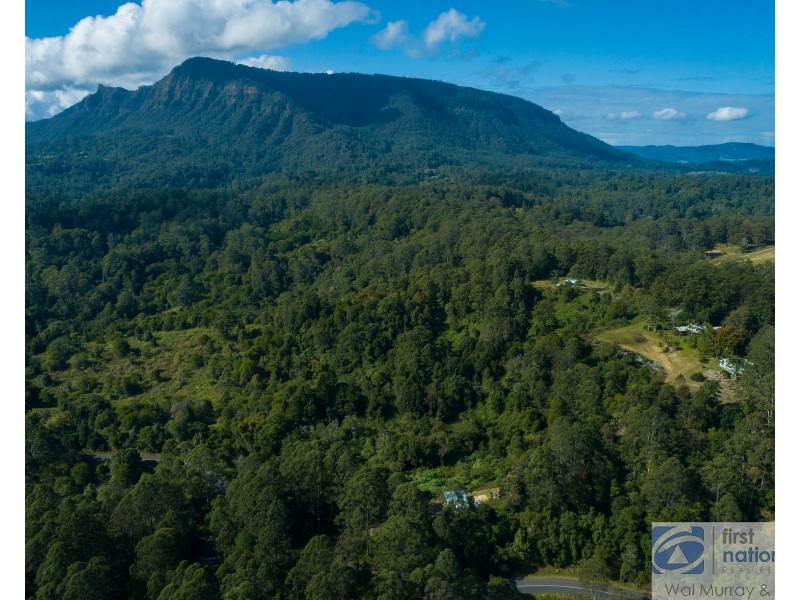 3935 Kyogle Road, Mount Burrell NSW 2484