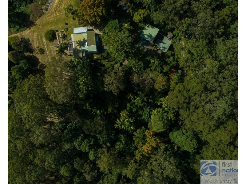 3935 Kyogle Road, Mount Burrell NSW 2484