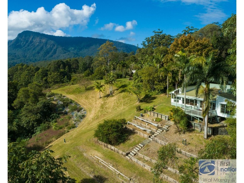 3935 Kyogle Road, Mount Burrell NSW 2484