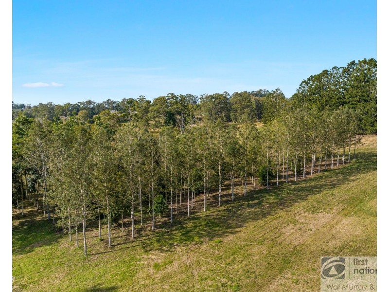 70 Borton Road, Tullera NSW 2480