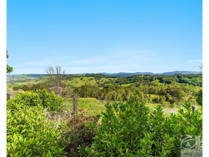 65 Funnell Drive, Modanville NSW 2480