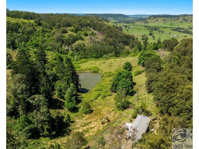 126 Quilty Road, Rock Valley NSW 2480