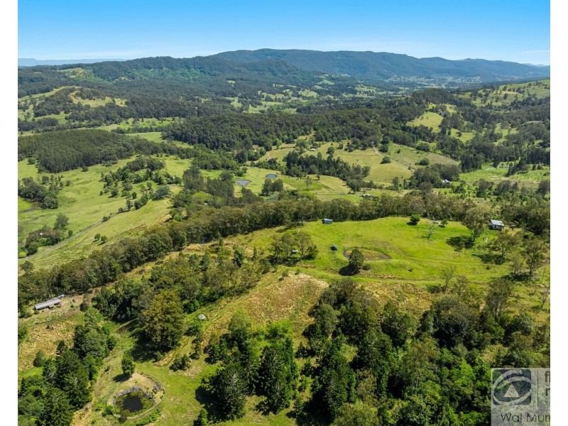 126 Quilty Road, Rock Valley NSW 2480
