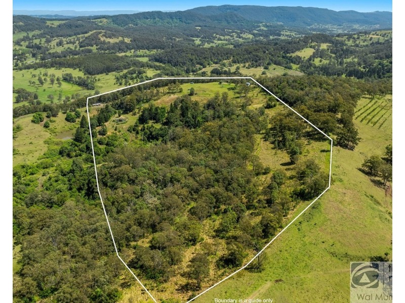 126 Quilty Road, Rock Valley NSW 2480