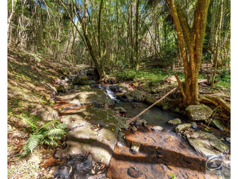 92 Rayward Road, Dunoon NSW 2480