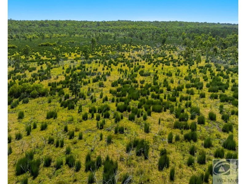 146 Moonem-New Italy Road, Bungawalbin NSW 2469