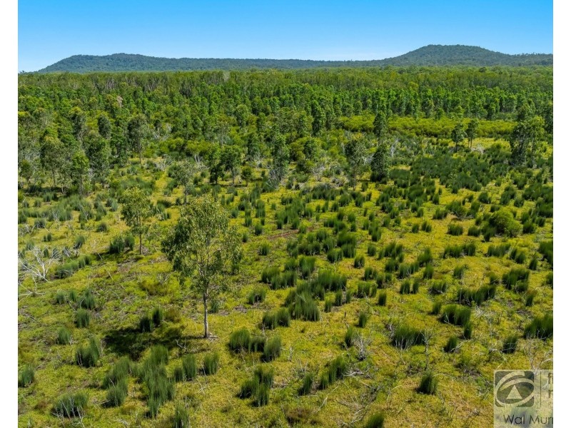 146 Moonem-New Italy Road, Bungawalbin NSW 2469