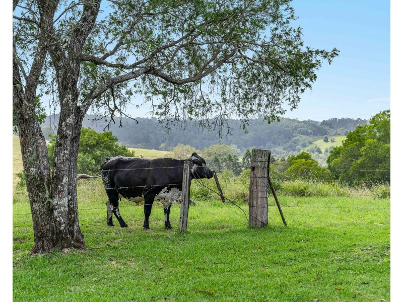 Booerie Creek NSW 2480