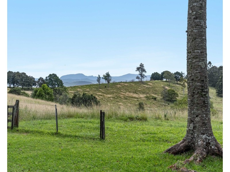 Booerie Creek NSW 2480