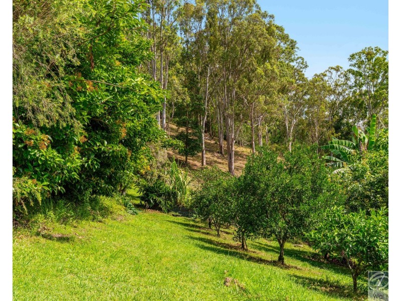 658 Caniaba Road, Caniaba NSW 2480