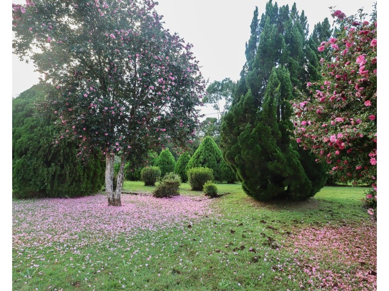 11 Sunny Valley Place, Modanville NSW 2480