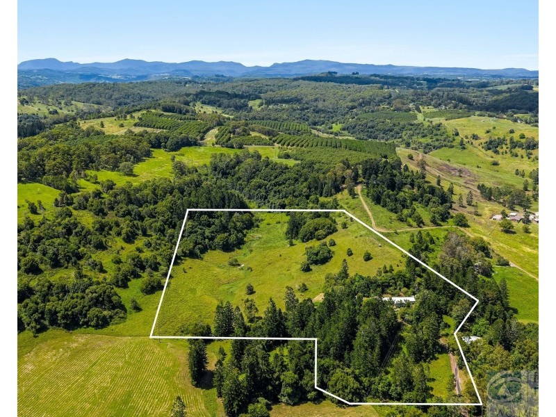 190 Hewitt Road, Booerie Creek NSW 2480