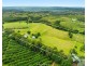 38 Numulgi Creek Road, Modanville NSW 2480