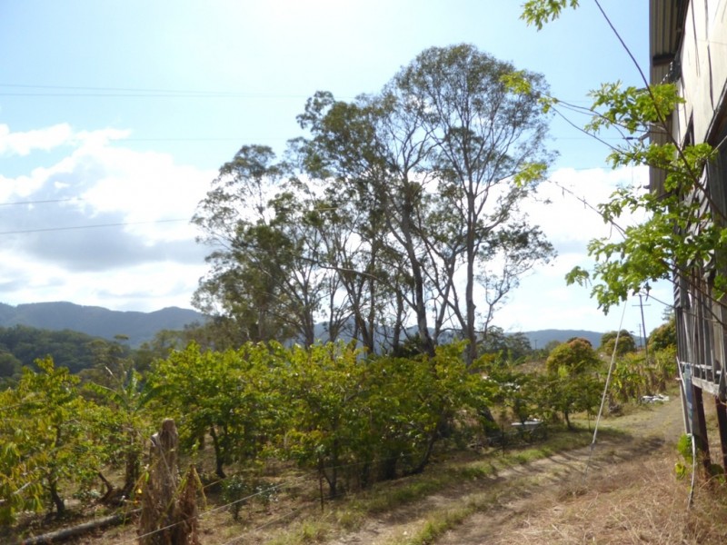 Lot 7 Palmwoods Road, Palmwoods NSW 2482