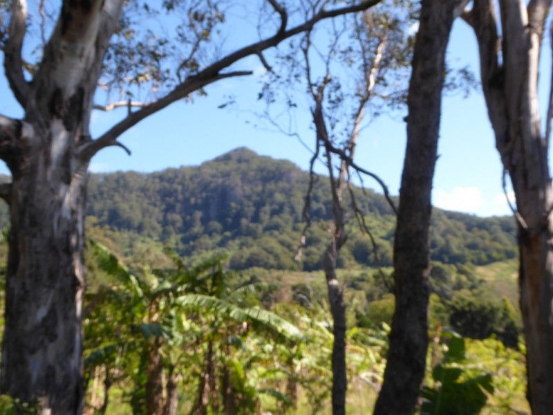 Lot 7 Palmwoods Road, Palmwoods NSW 2482