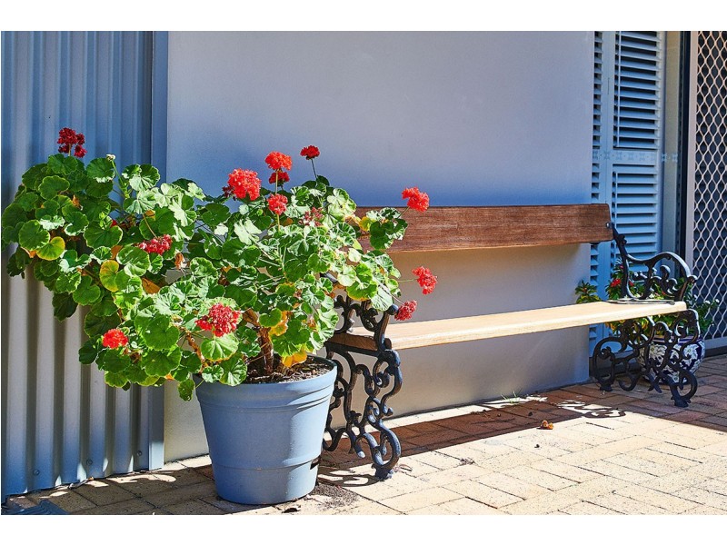 3 Tathra Glen, Ocean Shores NSW 2483